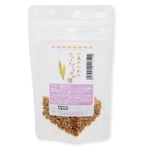 小鳥のためのウィートグラスの種　３０ｇ　小鳥　ハムスター