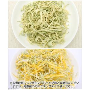 国産 皮なしパパイヤ 細切り 30g 小動物用...の詳細画像2
