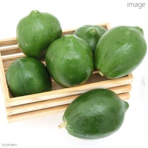 国産 皮なしパパイヤ 細切り 30g 小動物用...の詳細画像3