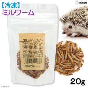 冷凍 冷凍ミルワーム 20g 爬虫類エサ 無添加 無着色 別途クール手数料 常温商品同梱不可 お一人様2点限り