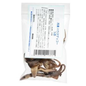 冷凍★冷凍餌用ハウスゲッコー 5匹 爬虫類エサ ...の商品画像