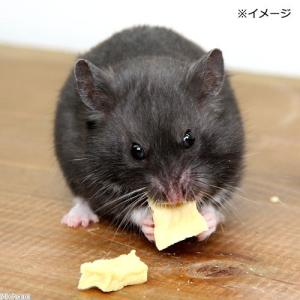 たまむらとうふ使用 国産大豆 とうふキューブ ...の詳細画像2