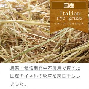令和7年産 国産 天日干し イタリアンライグラ...の詳細画像1