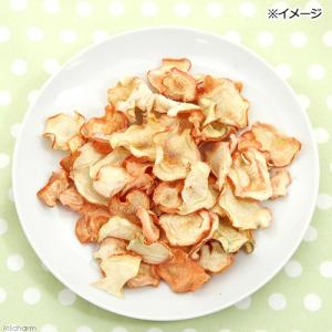 埼玉県産 訳ありにんじん 50g×2袋 国産 ...の詳細画像2