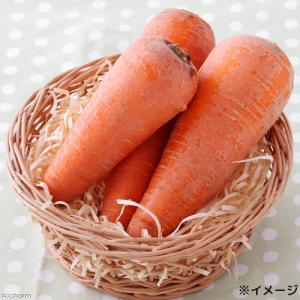 埼玉県産 訳ありにんじん 50g×2袋 国産 ...の詳細画像3