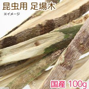 足場木 100g (昆虫用) 転倒防止 パパイヤの幹の商品画像