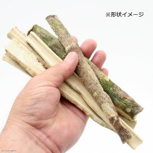 足場木 100g (昆虫用) 転倒防止 パパイヤの幹の詳細画像1