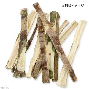 足場木 100g (昆虫用) 転倒防止 パパイヤの幹の詳細画像2