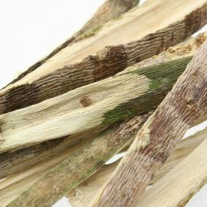 足場木 100g (昆虫用) 転倒防止 パパイヤの幹の詳細画像2