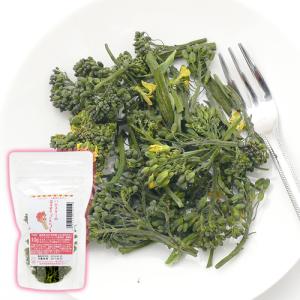 《終売》ハムスター　おやつ　ハムスターの国産スティックセニョール　１０ｇ　プチサイズ　国産　無添加　無着色