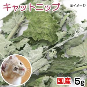 国産　キャットニップ　５ｇ　無添加　無着色　猫用　ぱっくん亭