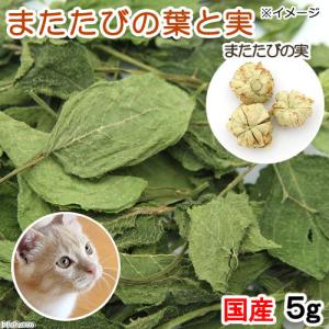 国産 またたびの葉と実 虫エイ果 無添加 無着色 猫用