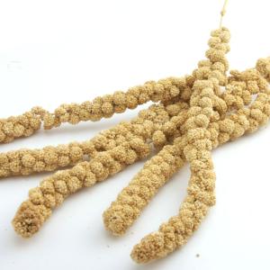 小動物の食事 あわの穂 150g おやつ 無農...の詳細画像1