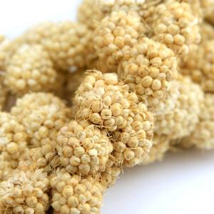 小動物の食事 あわの穂 150g おやつ 無農...の詳細画像2