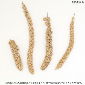 小動物の食事 あわの穂 150g おやつ 無農...の詳細画像3