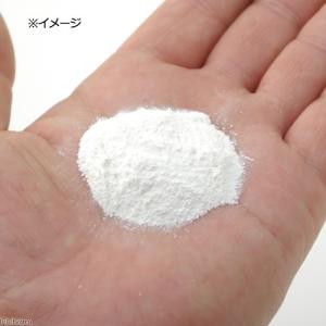 犬 猫 サプリ 国産 卵殻 パウダー 100g...の詳細画像2