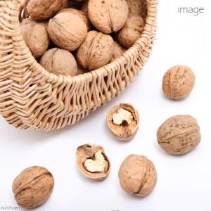 国産 割り くるみ 50g ナッツ 小動物のお...の詳細画像3