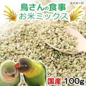 鳥さんの食事 国産 お米ミックス 100g おやつ 無添加 無着色