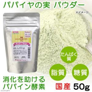 犬　おやつ　野菜　国産　パパイヤの実　パウダー　５０ｇ　無添加　無着色　フルーツ＆ベジ　蒸し野菜チップス　食物繊維　ドッグフード　トッピング｜chanet