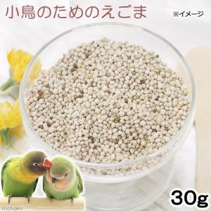 小鳥のためのえごま　３０ｇ　鳥　フード　餌　おやつ　無添加　無着色