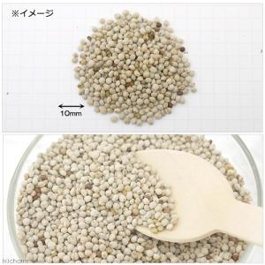 小鳥のためのえごま 30g 鳥 フード 餌 お...の詳細画像2