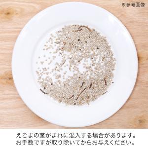 小鳥のためのえごま 30g 鳥 フード 餌 お...の詳細画像3