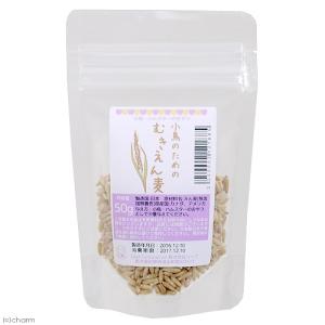 小鳥のためのむきえん麦 50g(殻なし) 鳥 ...の詳細画像1