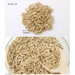 小鳥のためのむきえん麦 50g(殻なし) 鳥 ...の詳細画像2