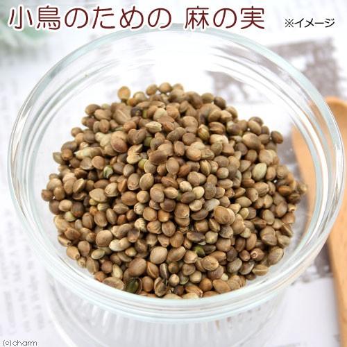 小鳥のための麻の実　３０ｇ　鳥　フード　餌　おやつ　無添加　無着色