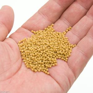 キョーリン キラピピ フィンチ 300g 総合...の詳細画像1