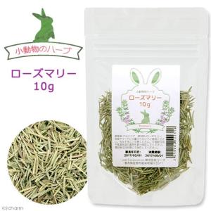 小動物のハーブ ローズマリー 10gの商品画像