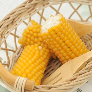 国産　とうもろこし　３個　小動物用のおやつ