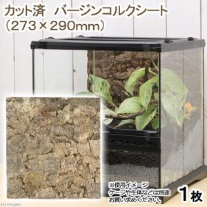Leaf Corp バックパネル用 コルク樹皮 1枚 （273×290mm