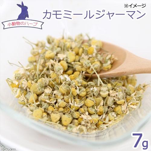 小動物のハーブ　カモミールジャーマン　７ｇ　うさぎ　オーガニック