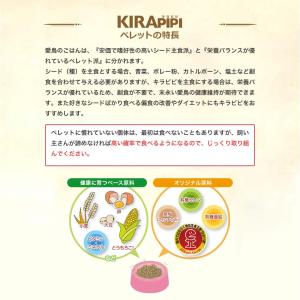 キョーリン キラピピ フィンチ 600g 総合...の詳細画像2