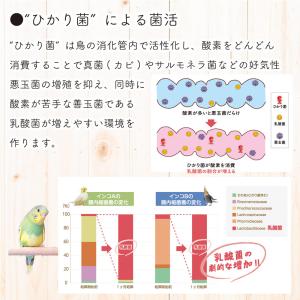 キョーリン キラピピ フィンチ 600g 総合...の詳細画像4