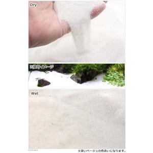 アマゾン川源流の白砂 3kg(約1.8L) 微...の詳細画像1