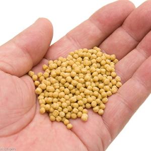 キョーリン キラピピ インコ 中粒 600g ...の詳細画像1