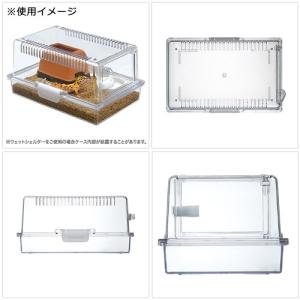 爬虫類ケージ スドー レプティギア 300 W...の詳細画像2