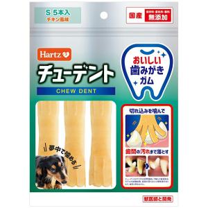 アウトレット品　ハーツ　チューデント　超小型〜小型犬用　５本　訳あり