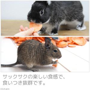 国産(埼玉県産)フリーズドライ にんじんスライ...の詳細画像4