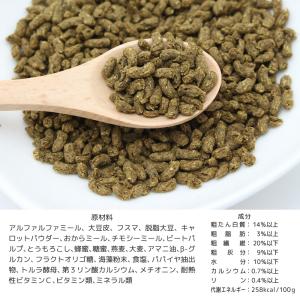 国産 チンチラの食事プレミアム 300g 毛球...の詳細画像2