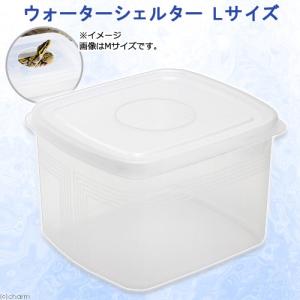 ウォーターシェルター　Ｌサイズ　爬虫類　ヘビ　蛇　シェルター　お一人様８点限り