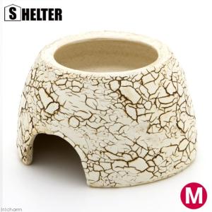 シェルター　クラックウェットシェルター　Ｍ　信楽焼　爬虫類　両生類