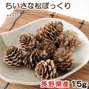 国産　ちいさな松ぼっくり　１５ｇ　小動物のおもちゃ　パインコーン　国産　無添加　無着色｜チャーム charm ヤフー店