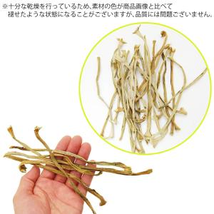 国産 かじってたのしい ブロッコリーの葉の茎 ...の詳細画像3