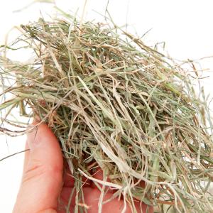 天然素材 小鳥のためのやわらか巣草 20g 牧草の詳細画像1
