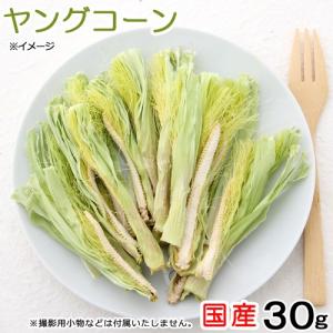 国産　ヤングコーン　３０ｇ　小動物のおやつ　国産　無添加　無着色