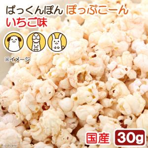 国産　ポップコーン　いちご味　３０ｇ　ノンオイル　無塩　無添加　無着色　犬小動物用おやつ　ぱっくんぽん　ＰａｃｋｕｎｘＣＯＣＯＡ｜チャーム charm ヤフー店