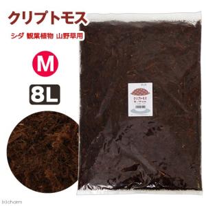 天然樹皮培養土　クリプトモス　Ｍサイズ　８Ｌ　シダ　観葉植物　山野草用　お一人様１１点限り